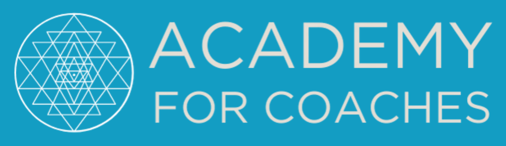 Academy For Coaches